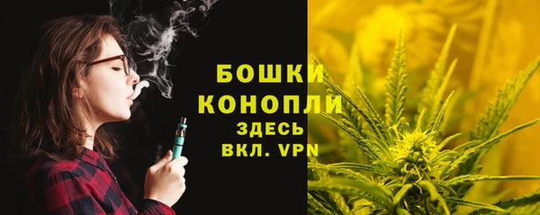 соль ск Михайловск