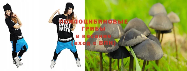 дживик Михайлов