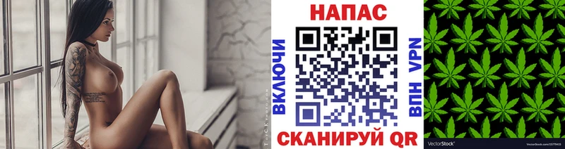 блэк спрут как войти  Новая Ляля  shop состав  Шишки марихуана Amnesia 
